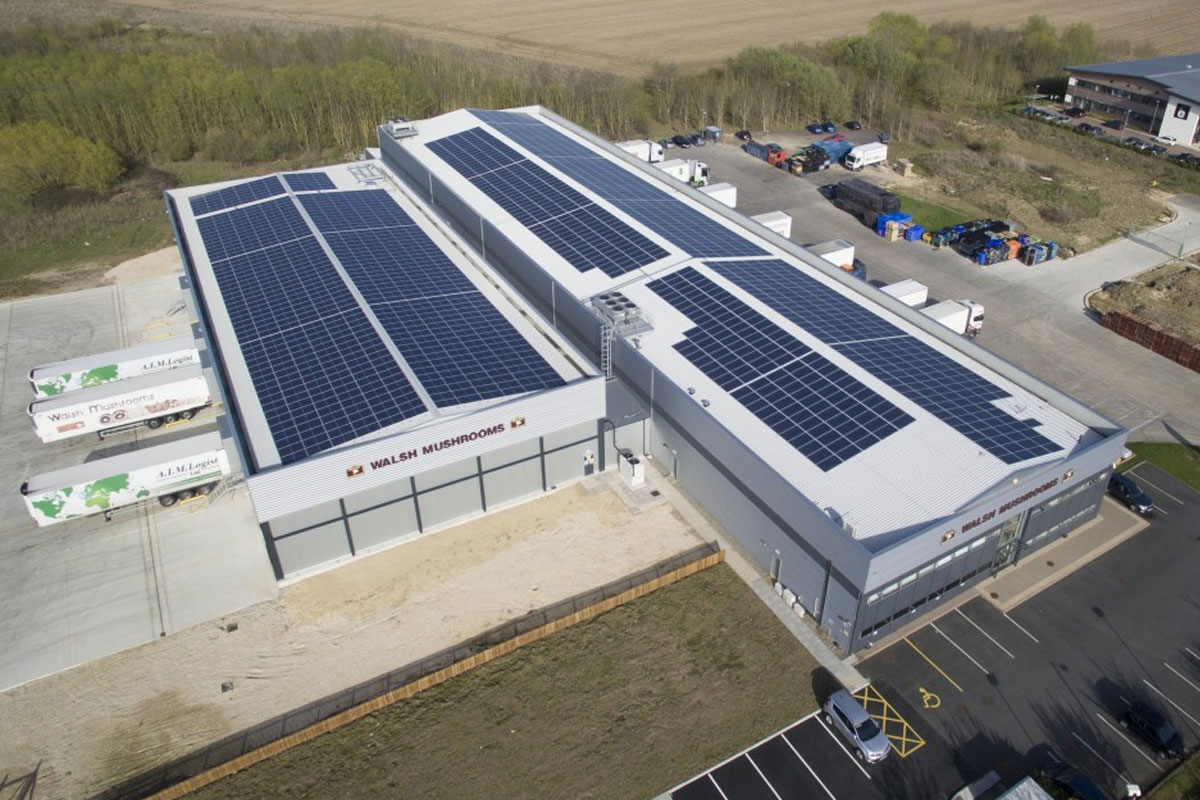 پزشکیان: باید به گونهای پیش برویم که در تابستان سال آینده هیچ کارخانهای با کمبود برق مواجه نشود